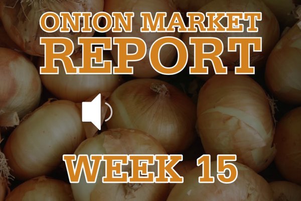 Kraken darknet onion