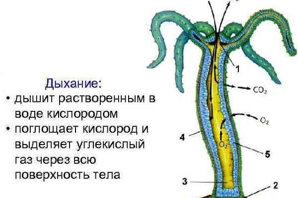 Ссылка кракен kraken014 com