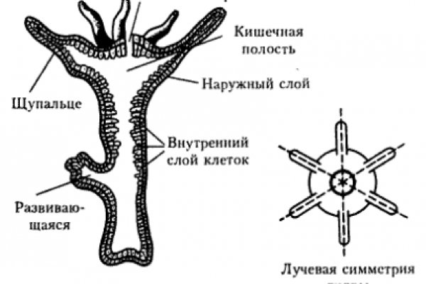 Кракен ссылка на тор официальная