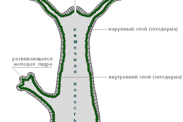 Ссылки кракен 2024