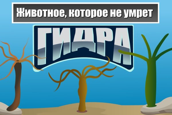 Сайт kraken в tor